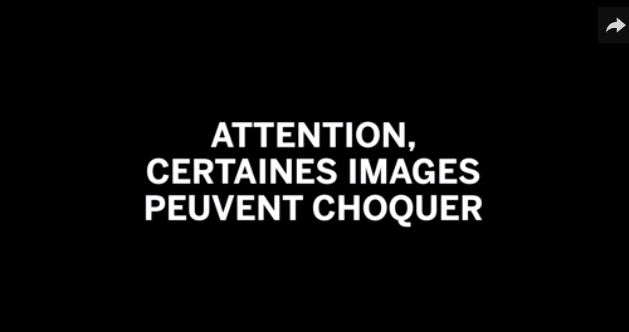 Le Monde diffuse une vidéo d’une des fusillades à Paris (attention images violentes)