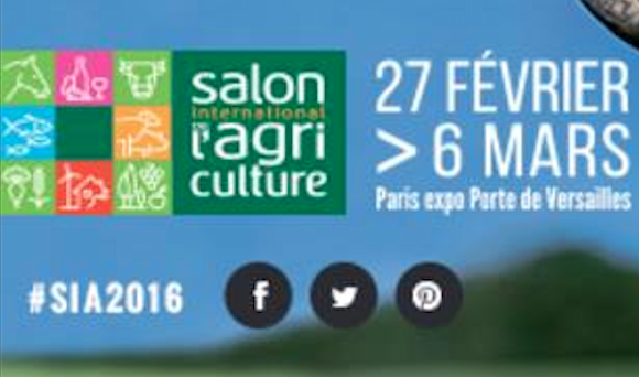 Les producteurs transformateurs mahorais au SIA