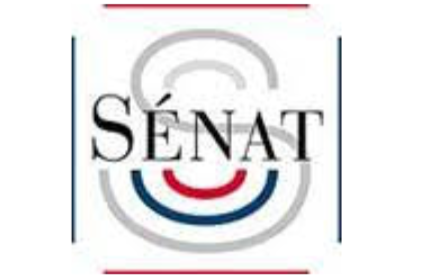 Le Sénat n’a pas adopté la proposition de loi tendant à modifier le mode de scrutin pour l’élection du Conseil départemental de Mayotte