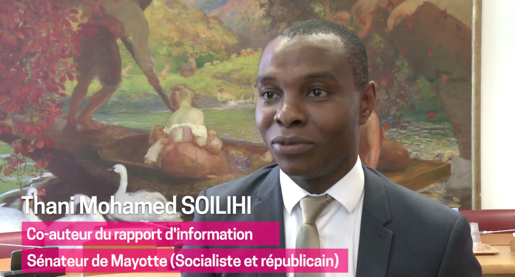 La “Liberté de la presse à l’heure d’internet” défendue par les sénateurs Thani et Pillet