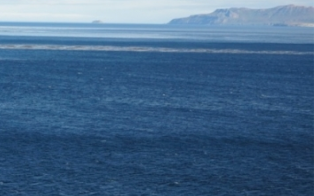 Histoire incroyable : que s’est-il passé à bord de la Mangue bleue ?