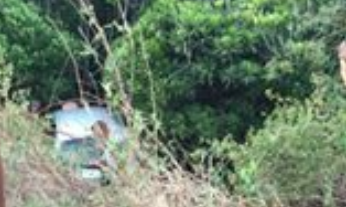 Un taxi fini sa route dans la mangrove