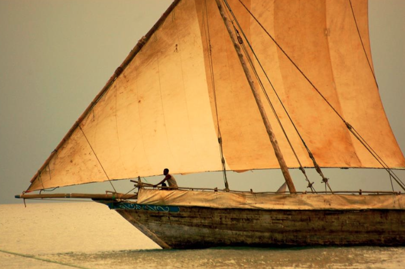 Conférence au CUFR : webdocumentaire de Christine Coulange