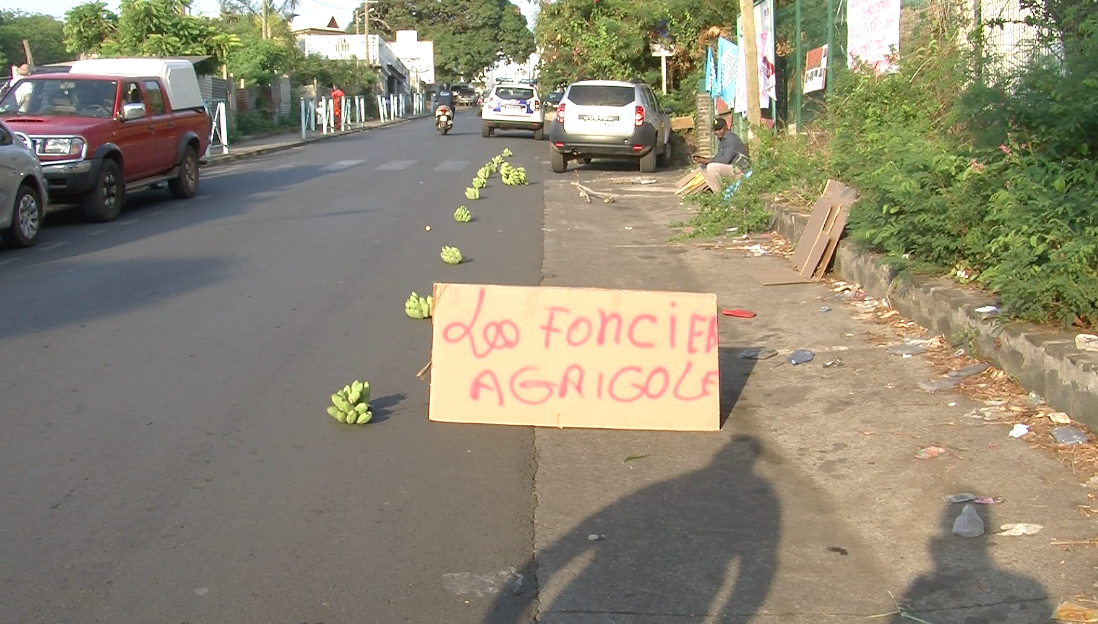 Les agriculteurs en colère devant la DAAF