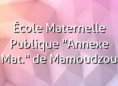 Un regroupement de parents d’élèves pour dénoncer le blocage des écoles