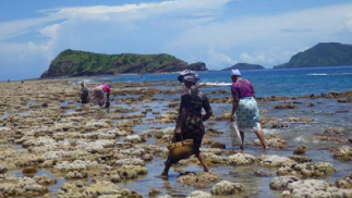 Mtsahara lance sa réserve pour une pêche durable du poulpe