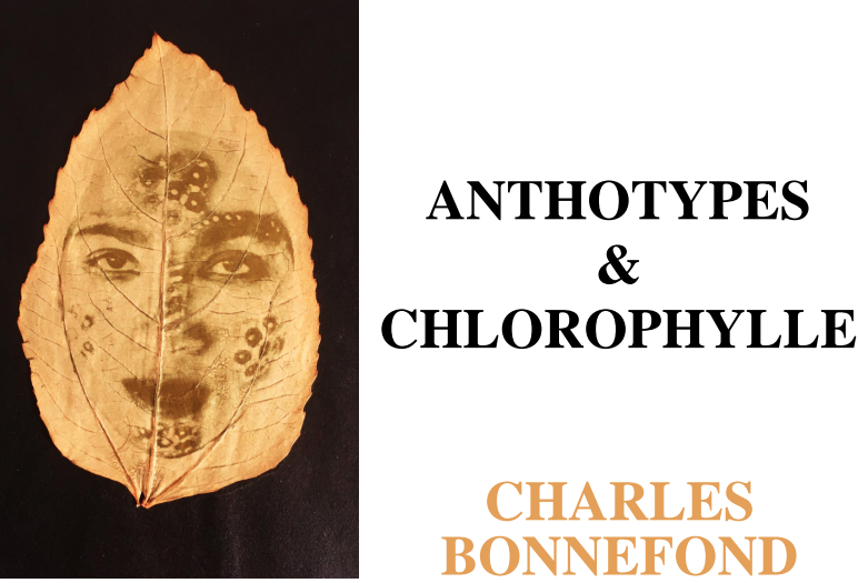 Vernissage de l’exposition “Anthotypes & Chlorophylle”
