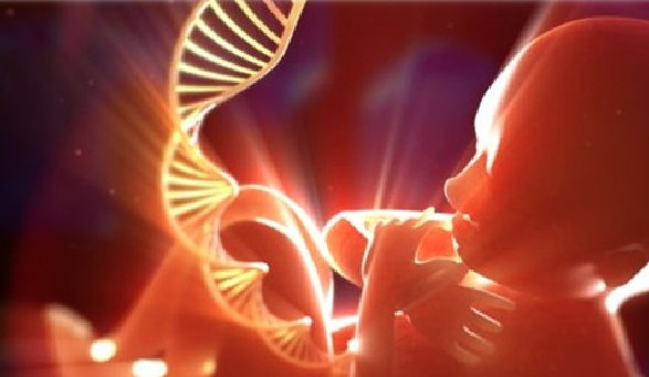 Affaire de viol à Mayotte : L’ADN du fœtus livre le nom du violeur