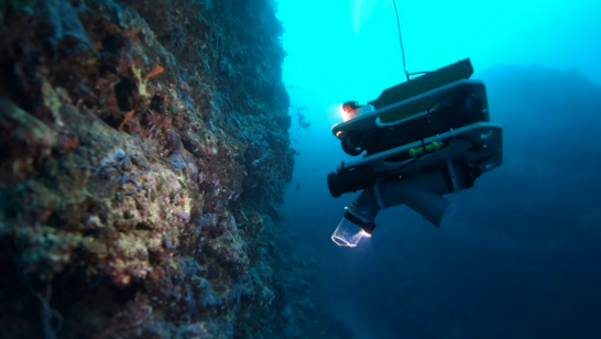 Recherche : Les fonds marins mahorais témoins de la première expérience du robot innovant “Flipper”