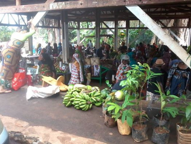 Grand marché paysan organisé par le Groupement de vulgarisation agricole à Acoua ce dimanche
