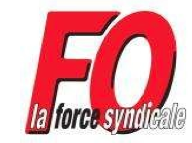 Organisation et résolutions générales de l’Union Départementale Force Ouvrière