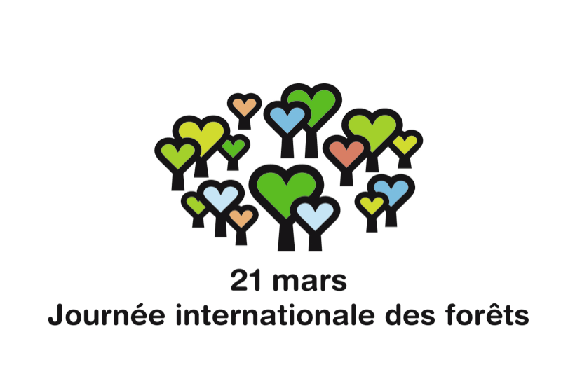 La Journée Internationale des Forêts annulée