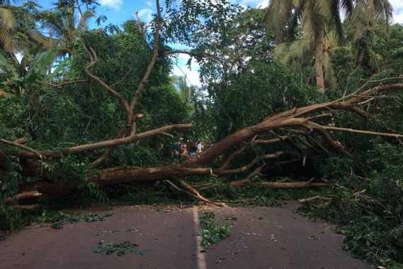Déblayage de la chaussée dans le secteur centre par la DEAL
