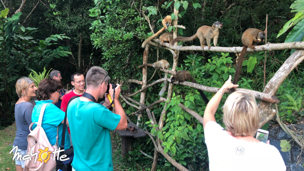 Quatre Tour-Operators à la découverte de l’île au lagon