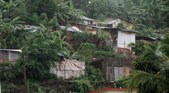 Le premier PILHI est né