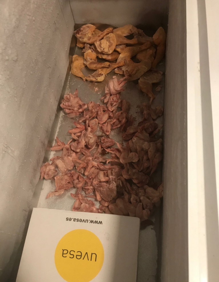 20 kilos de marchandises détruites suite à un contrôle d’une supérette située quartier de la Vigie