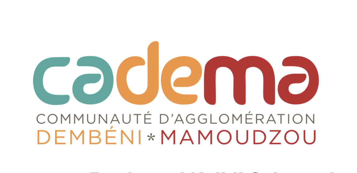 Enquête individuelle auprès des artisans Taxis ville