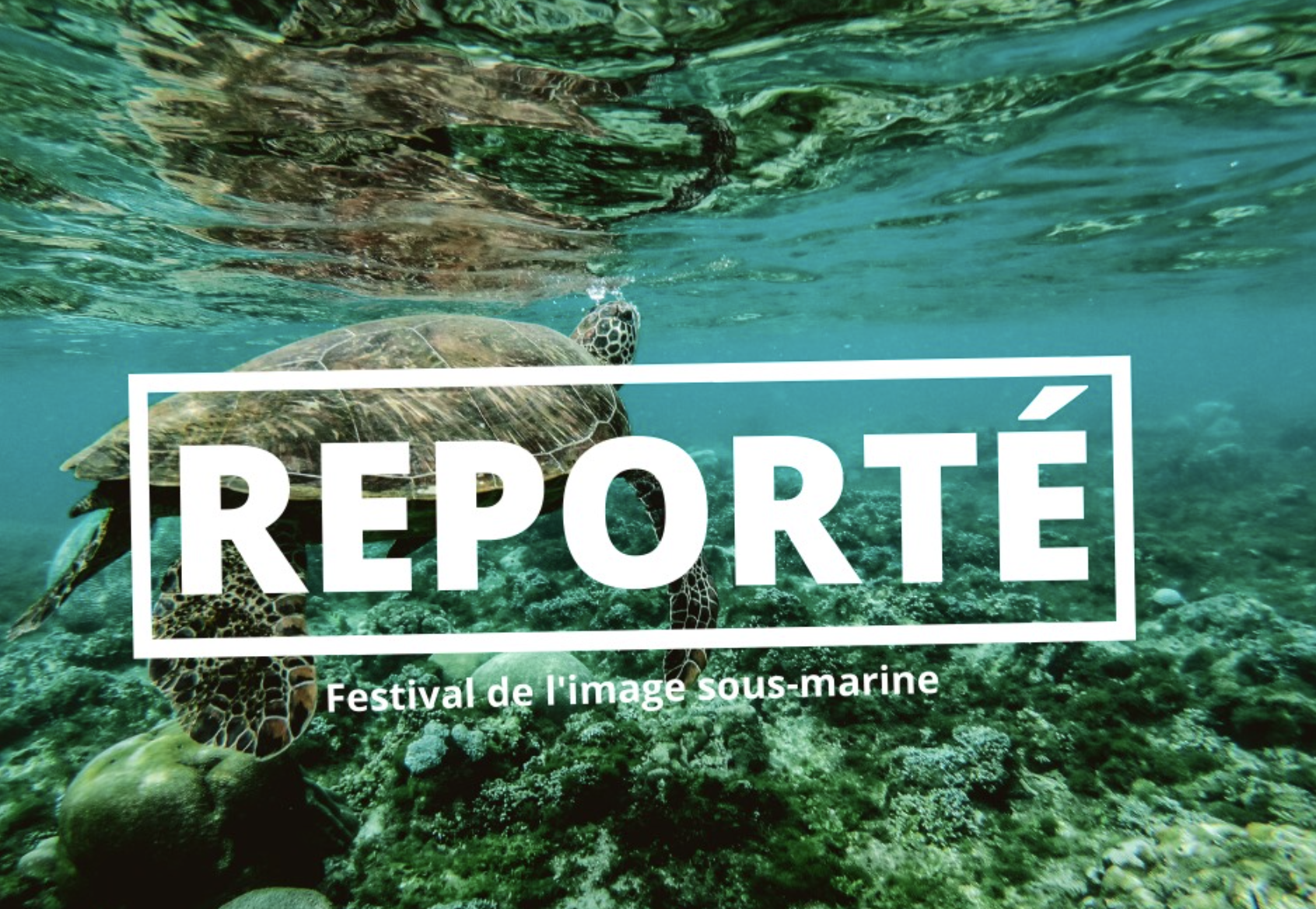 Le Festival de l’Image Sous-Marine reporté