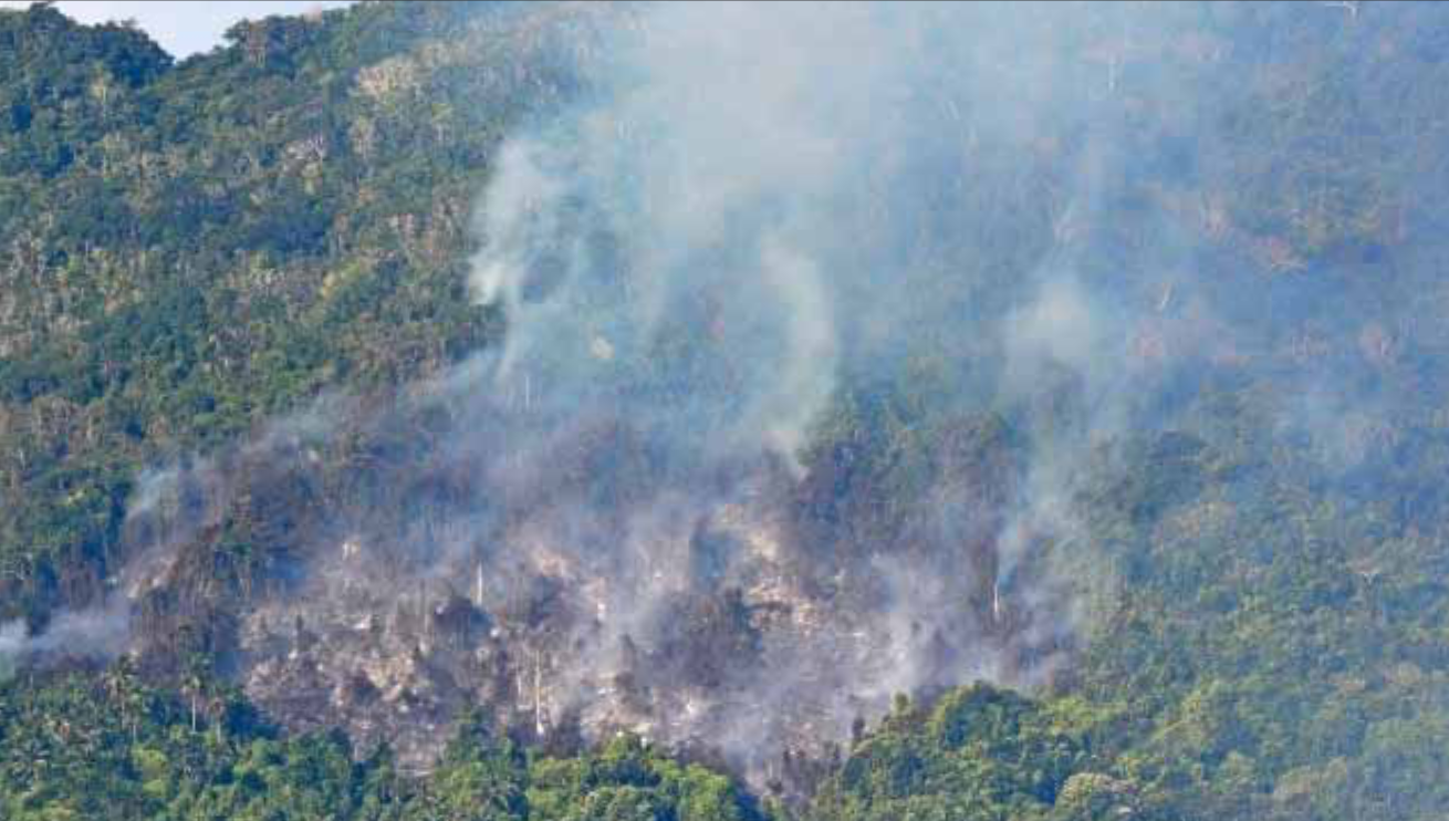 Les feux de brûlis, un fléau incontrôlable dans le 101ème département