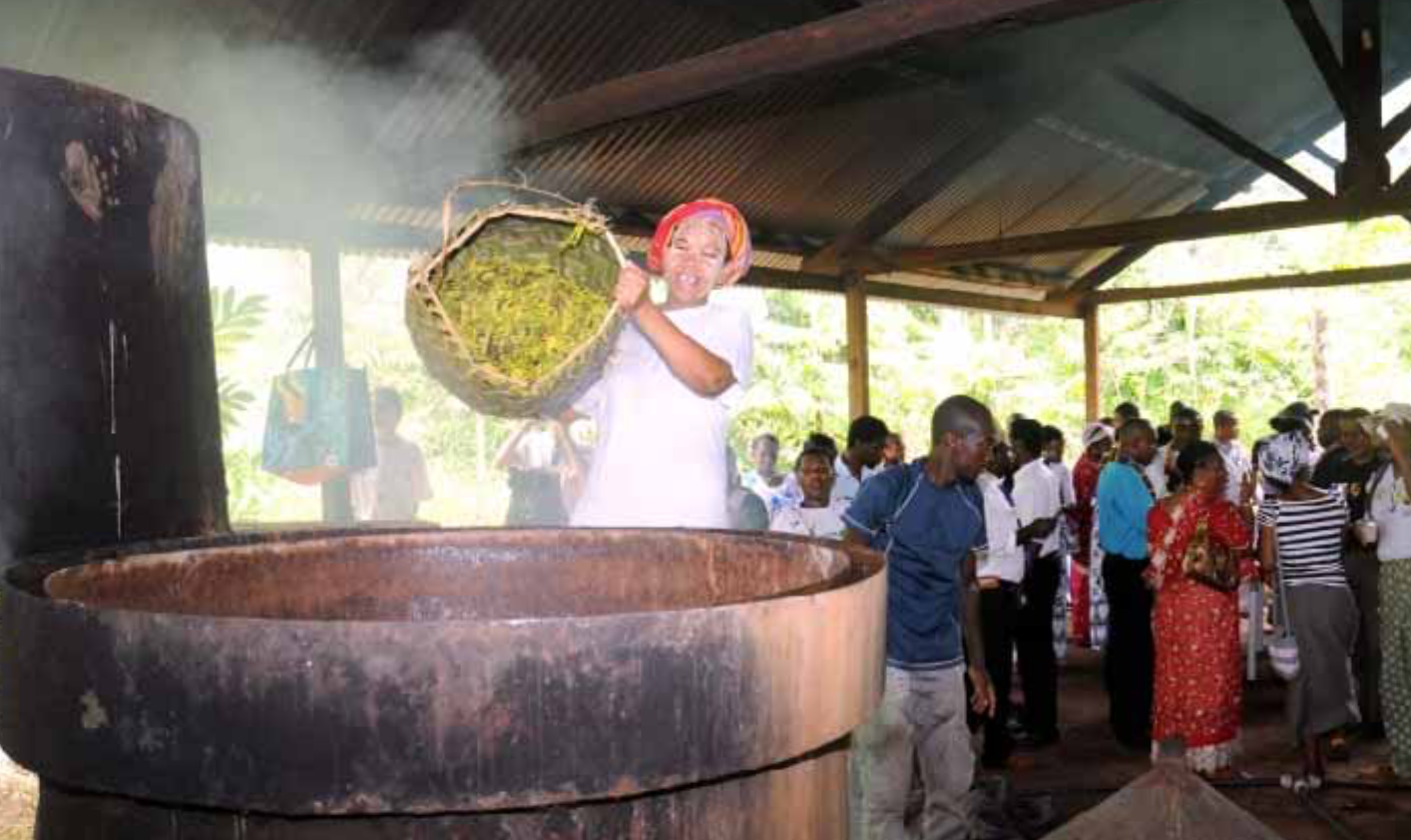 Vers une réglementation de la filière des cosmétiques à Mayotte ?