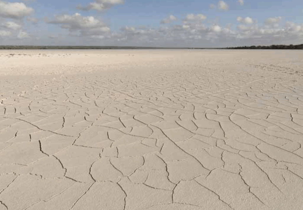 Capture decran 2020 12 01 a 07.45.39