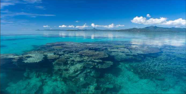 L’économie bleue enfin sur le point de prendre son envol à Mayotte ?