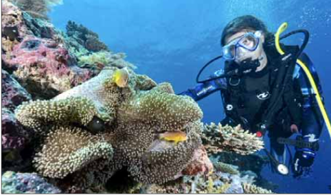 L’IFRECOR livre le bilan de l’État de Santé des Récifs Coralliens français