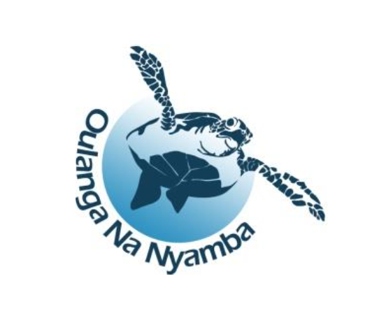 #DessineMoiUneTortue, la nouvelle campagne de l’association Oulanga na Nyamba