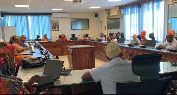 Pamandzi : La division entre les élus laisse penser que la majorité pourrait exploser