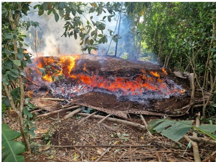 Une charbonnière illégale a été détruite à Mtsangamouji