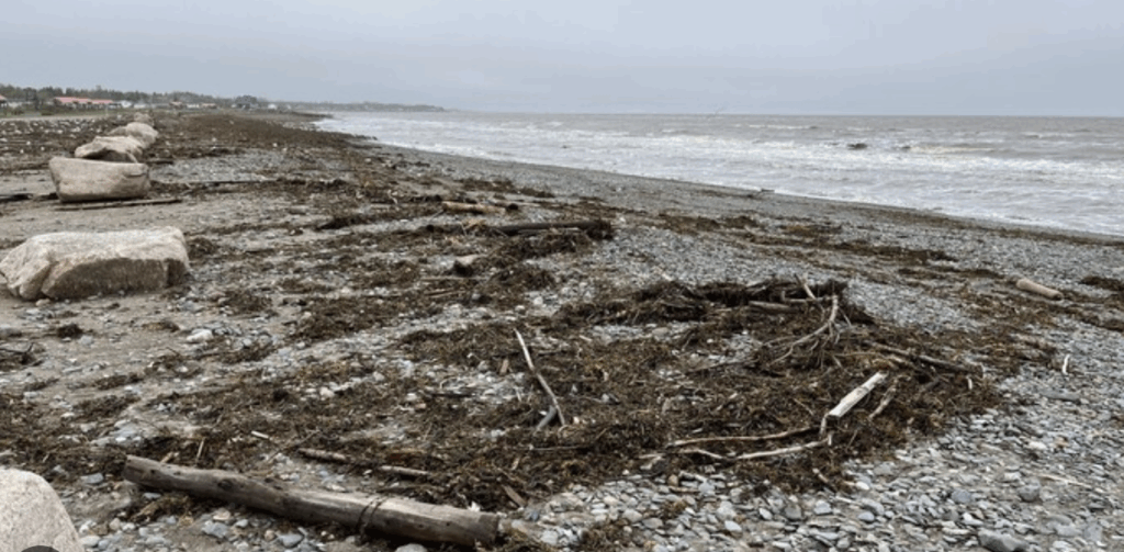 Capture decran 2023 09 20 a 09.17.23