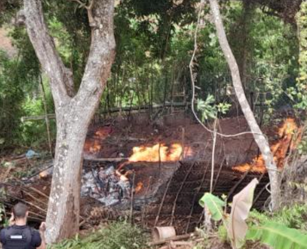 Opération de destruction de charbonnière illégale 