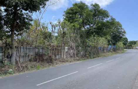 Ecoparc des Badamiers : entre des besoins d’aménager et les intérêts des propriétaires, un jeu d’équilibriste à inventer