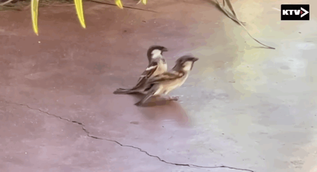 Capture decran 2024 03 16 a 07.30.30