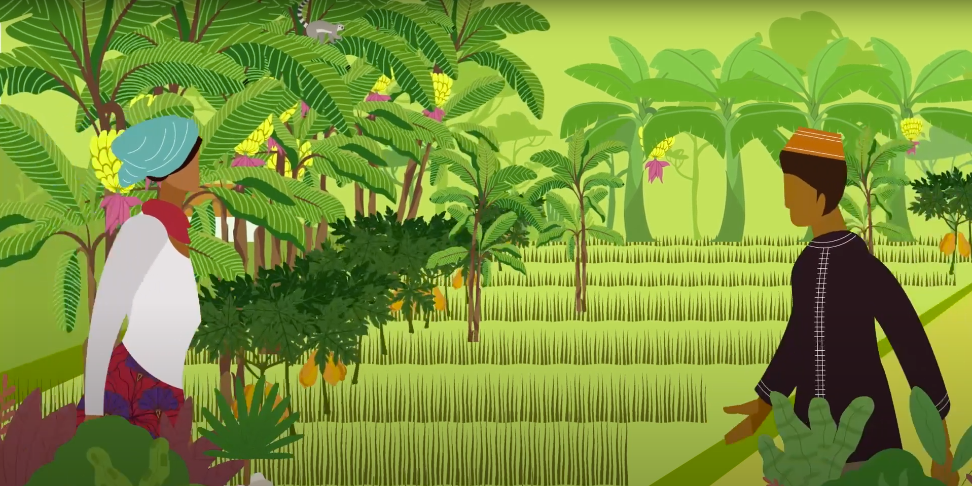 L’EPFAM  sensibilise sur la protection du foncier agricole