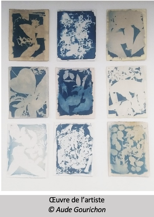 Art et transition écologique à Mayotte : les créations marines valorisées par le Parc Marin