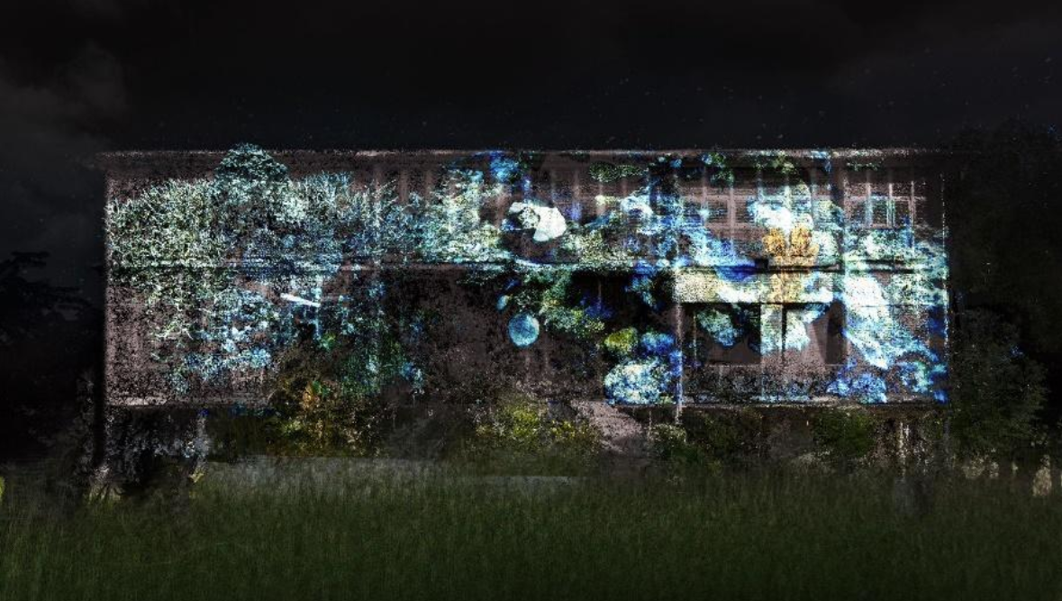 L’exposition « L’île au Corail » présentée ce samedi au Musée de Mayotte