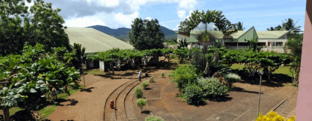 Capture decran 2024 12 02 193155