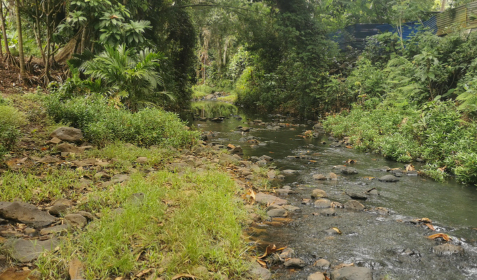 Plus de 90 000 euros pour restaurer la rivière Bouyouni