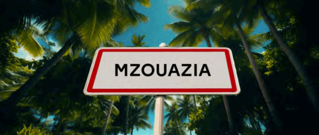 Capture decran 2025 05 13 045106