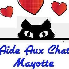l’Association Aide Aux Chats Mayotte très active sur notre Ile