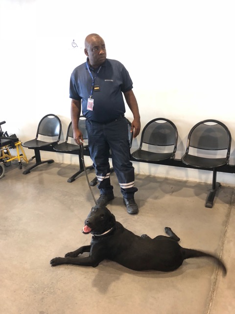 Un douanier et son chien