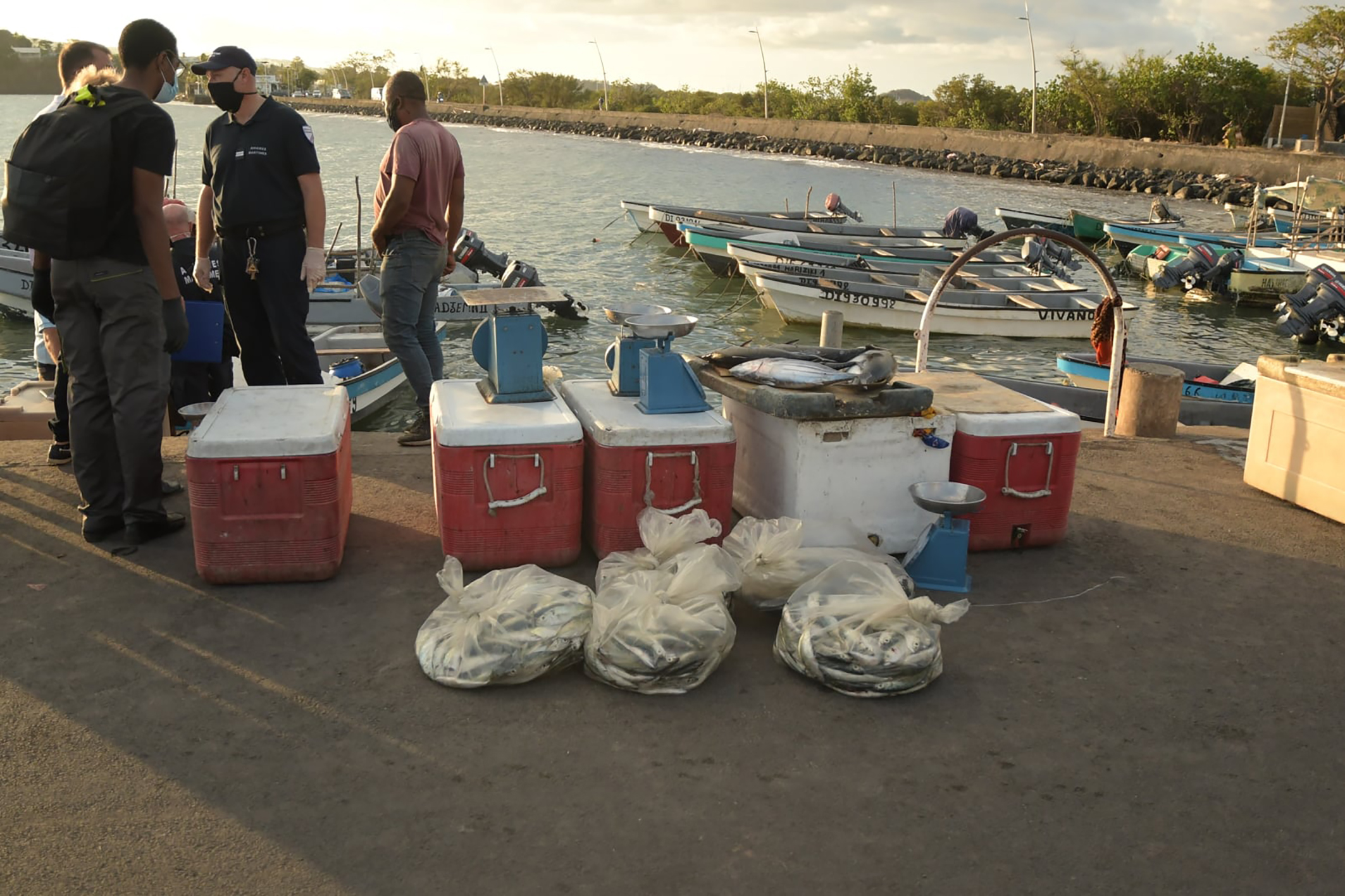 « Joint Action Days » à la manoeuvre sur le territoire