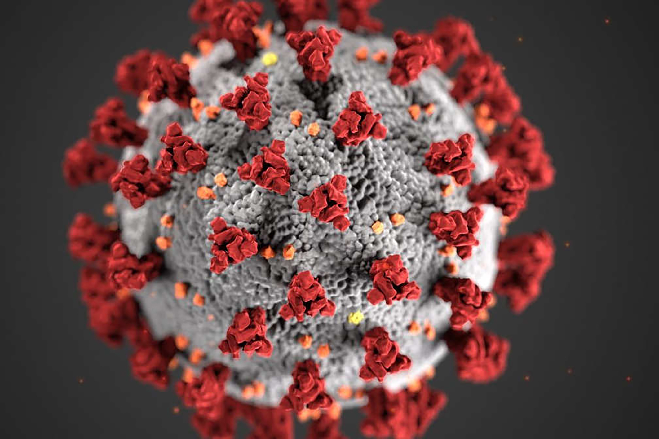 L’OMS craint que le pire soit encore à venir à une heure de détente et de reprise de la vie à Mayotte