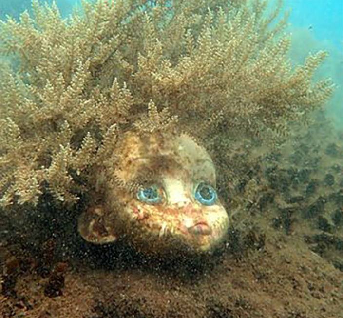 Un nettoyage des fonds marins de M’Bouzi qui fait froid dans le dos