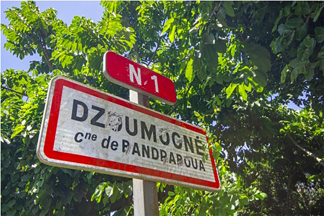 Un groupe de 10 individus sème le chaos aux abords du lycée de Dzoumogné