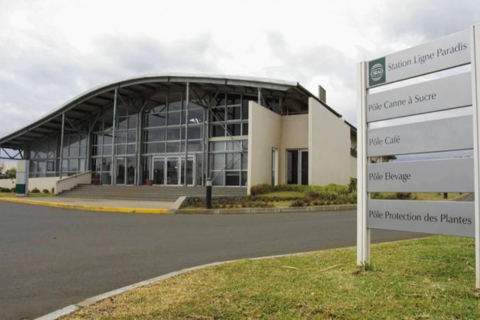 La Réunion à l’origine d’un nouveau test de dépistage