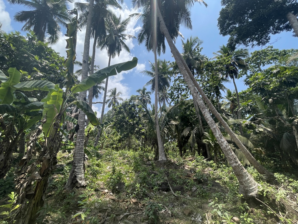 Violente agression d’un agriculteur et sa famille à Soulou