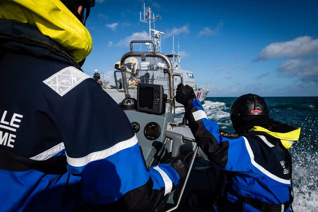 Mayotte : un individu en possession de viande et d’oeufs de tortue condamné