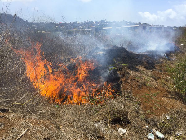 Départ de feu sur la rocade (vidéo)